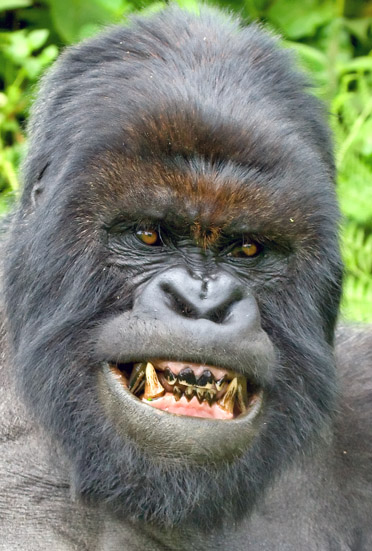 ��� ����� ���������� :)