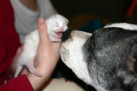 ������! :)