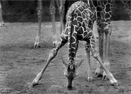 � �����-�� ������������... ;)