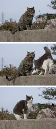 ����� ������� :)