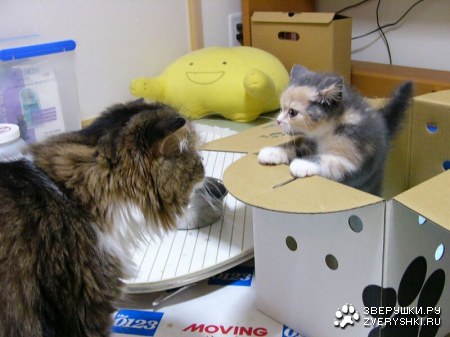 � ��� � � :)