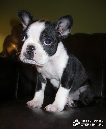 �������� ���������� ;)