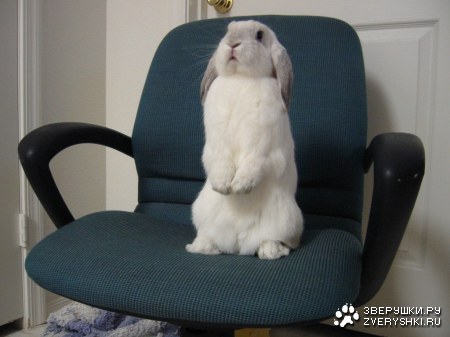 �� ������ ������! :)