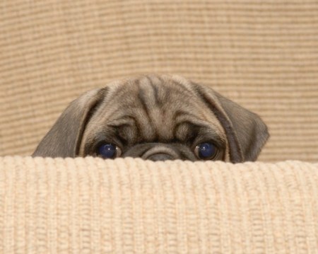 �������������� ������! :)