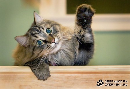 �������� ��� ������� ������! :)