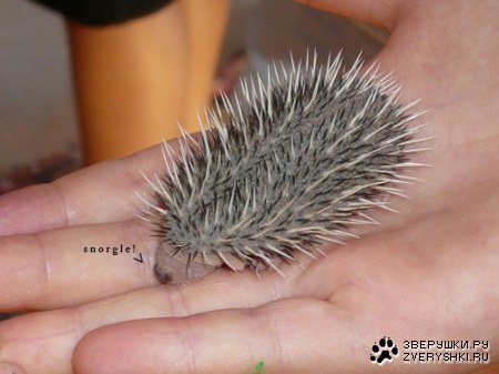 ��������� ������� :)