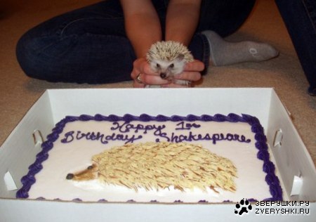 � ������ ���� ������ ��� �������� :)