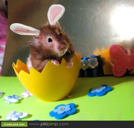 ������� � ������ :)