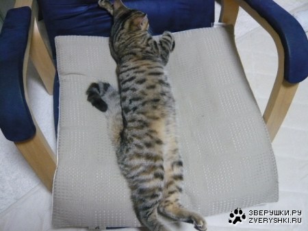 �������� ����� �����! ;)