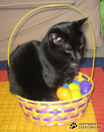 ��������� ;)