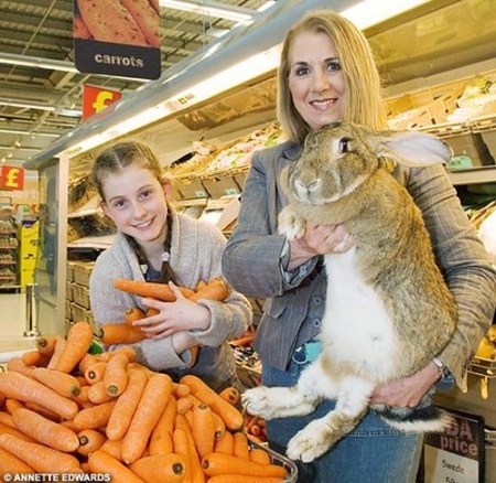 ���������� ������