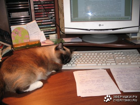 ���� ���������� (8 ����������)