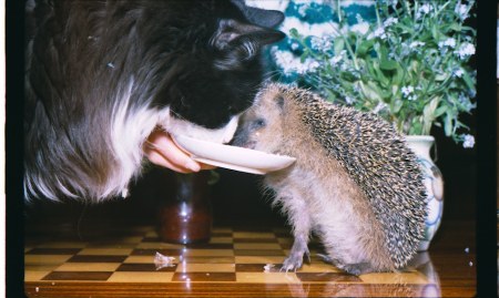 �������� � ������ ������� ;)