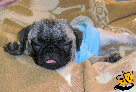 � 1 ������! :)