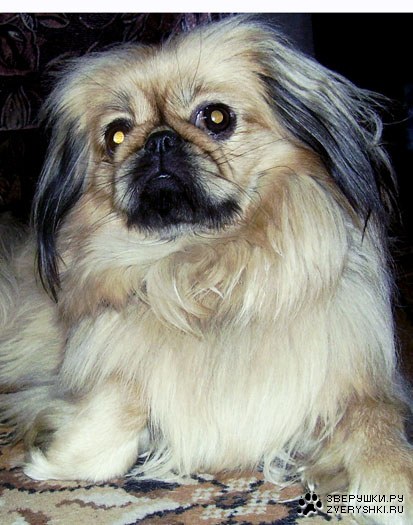 ���������� :)