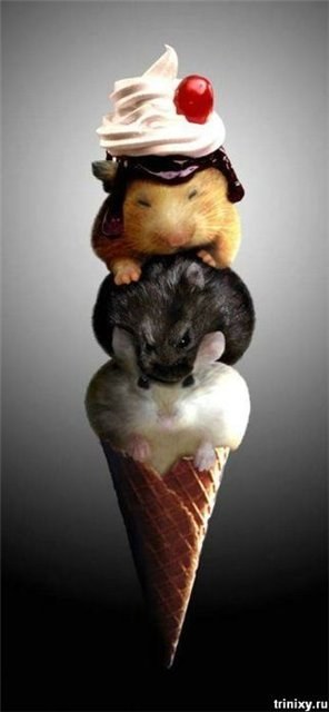 ������, ������, �� ������! :)