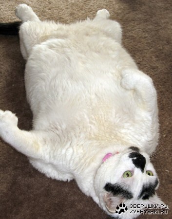 ������ �������!? :)