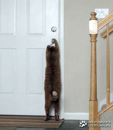 ����������, ������! :)