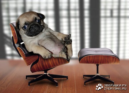 �� ��� �������� :)