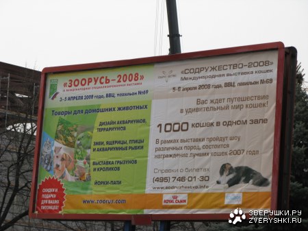 "�������-2008"