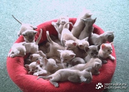 ��������� :)