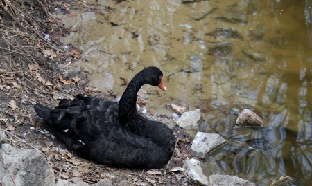 �������� ������� (10 ����������)