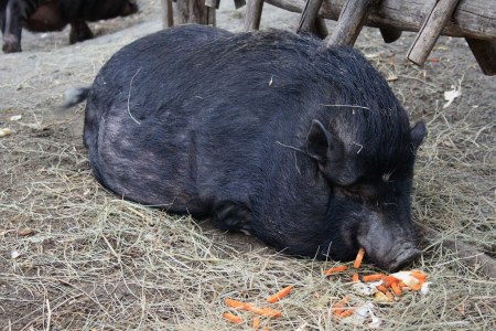 �������� ������� (10 ����������)