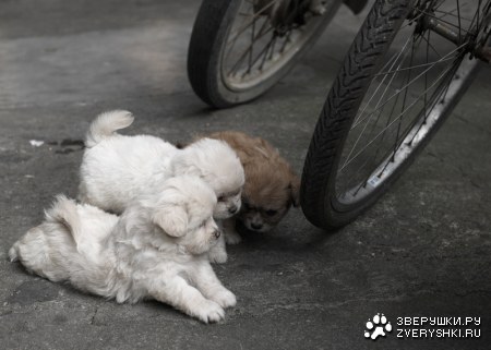 ��������� ������� :)