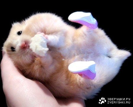 ������� � ����� :)