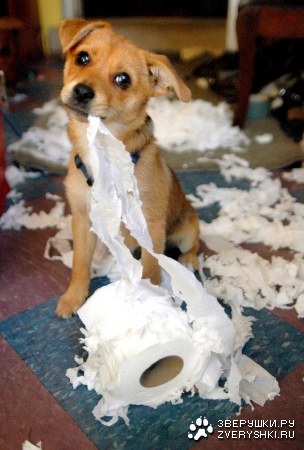 �� ����� ����, �������! :)
