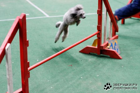 ������������� �������� ����� � ������� (����� II)