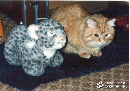 �� ����������� (3 ����������)