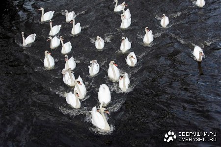 ������-�������� :)