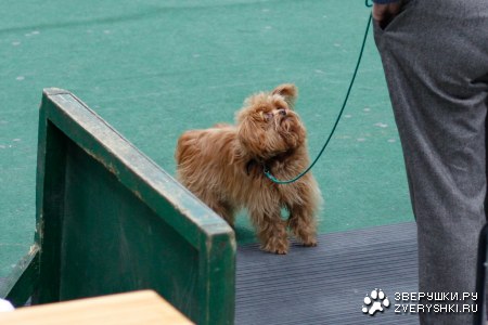 ������������� �������� ����� � ������� (����� III)