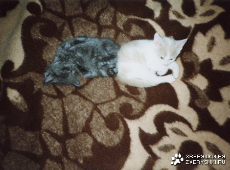 ��� � �� :)