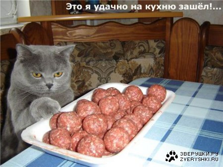 ��������� :)