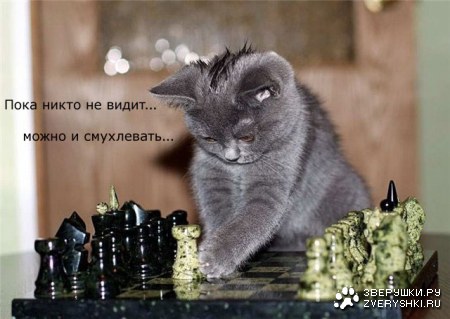 ��������� :)