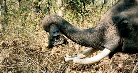 ����-�������� ������� ������ � ����� �������� 