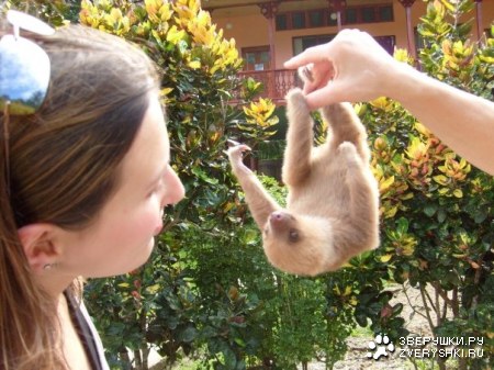 ���� ������! :)