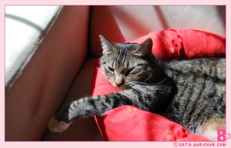 ��������� �����