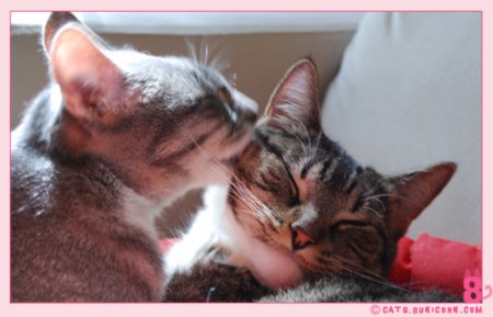 ������� ������� :)