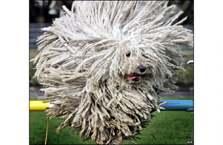 ������� ������� �� ���� ��������