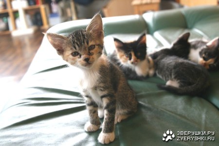 ���������� ������� :)