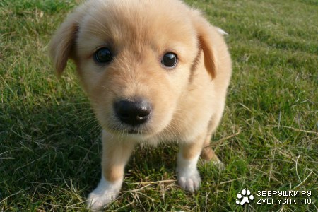 ��������� ������ :)