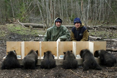 ������� ��� ��� ��������