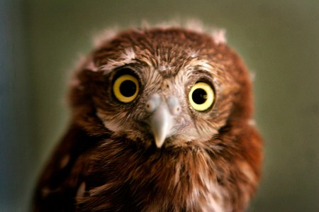 � ��� �� ����� �����?! :)