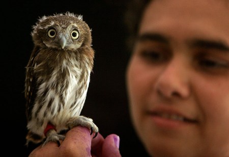 � ��� �� ����� �����?! :)