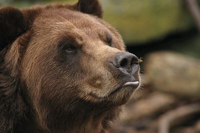 ��� ��� ��� ��� �� ���?! :)