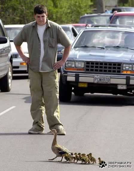 ����� ������ �������� :)