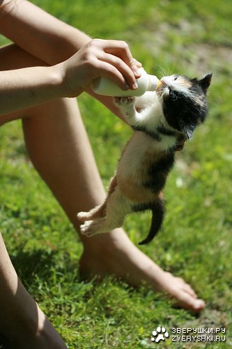 �������� ������ ��������� ������� :)